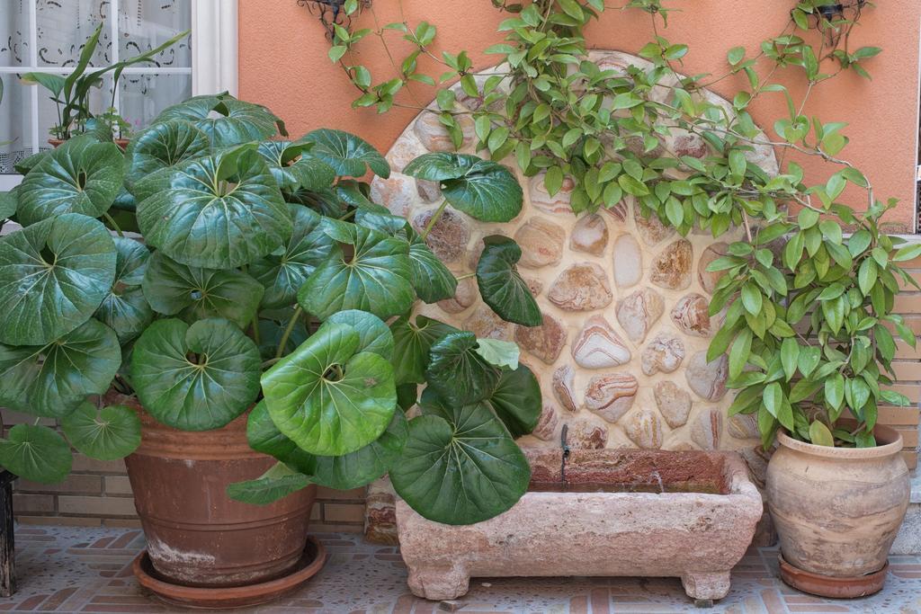 Hotel La Posada La Palma  المظهر الخارجي الصورة